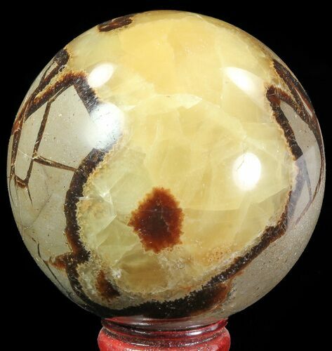 Polished Septarian Sphere - Madagascar #67861